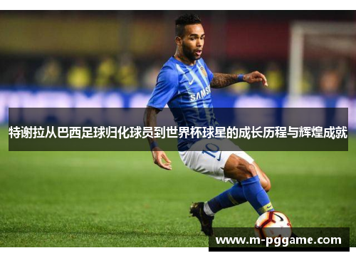 特谢拉从巴西足球归化球员到世界杯球星的成长历程与辉煌成就