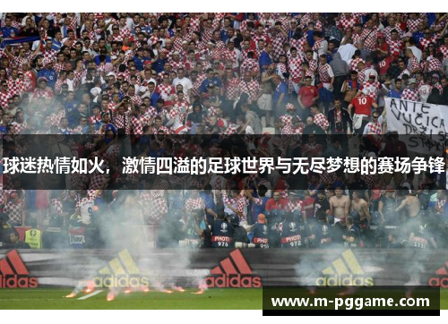 球迷热情如火，激情四溢的足球世界与无尽梦想的赛场争锋