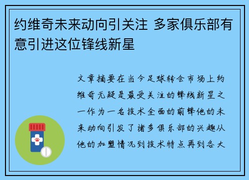 约维奇未来动向引关注 多家俱乐部有意引进这位锋线新星