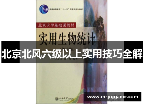 北京北风六级以上实用技巧全解