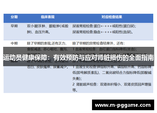 运动员健康保障：有效预防与应对肾脏损伤的全面指南