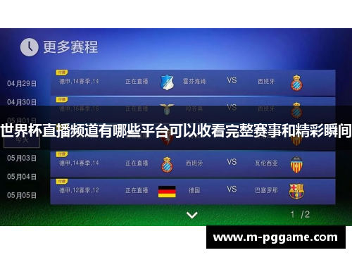 世界杯直播频道有哪些平台可以收看完整赛事和精彩瞬间